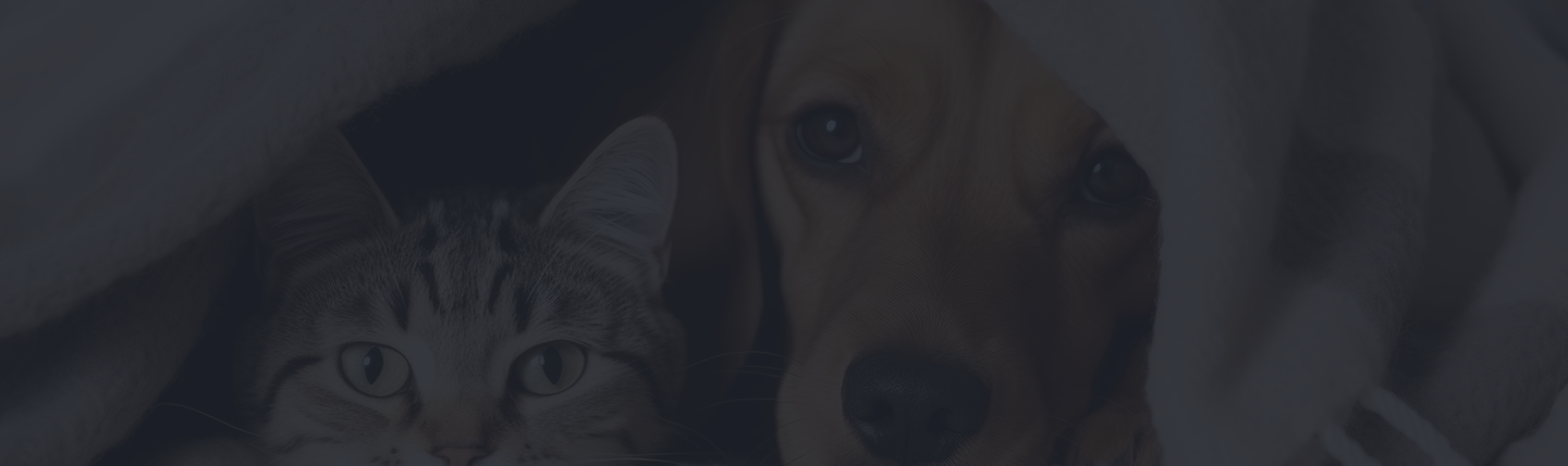 Because They’re More Than Just Pets