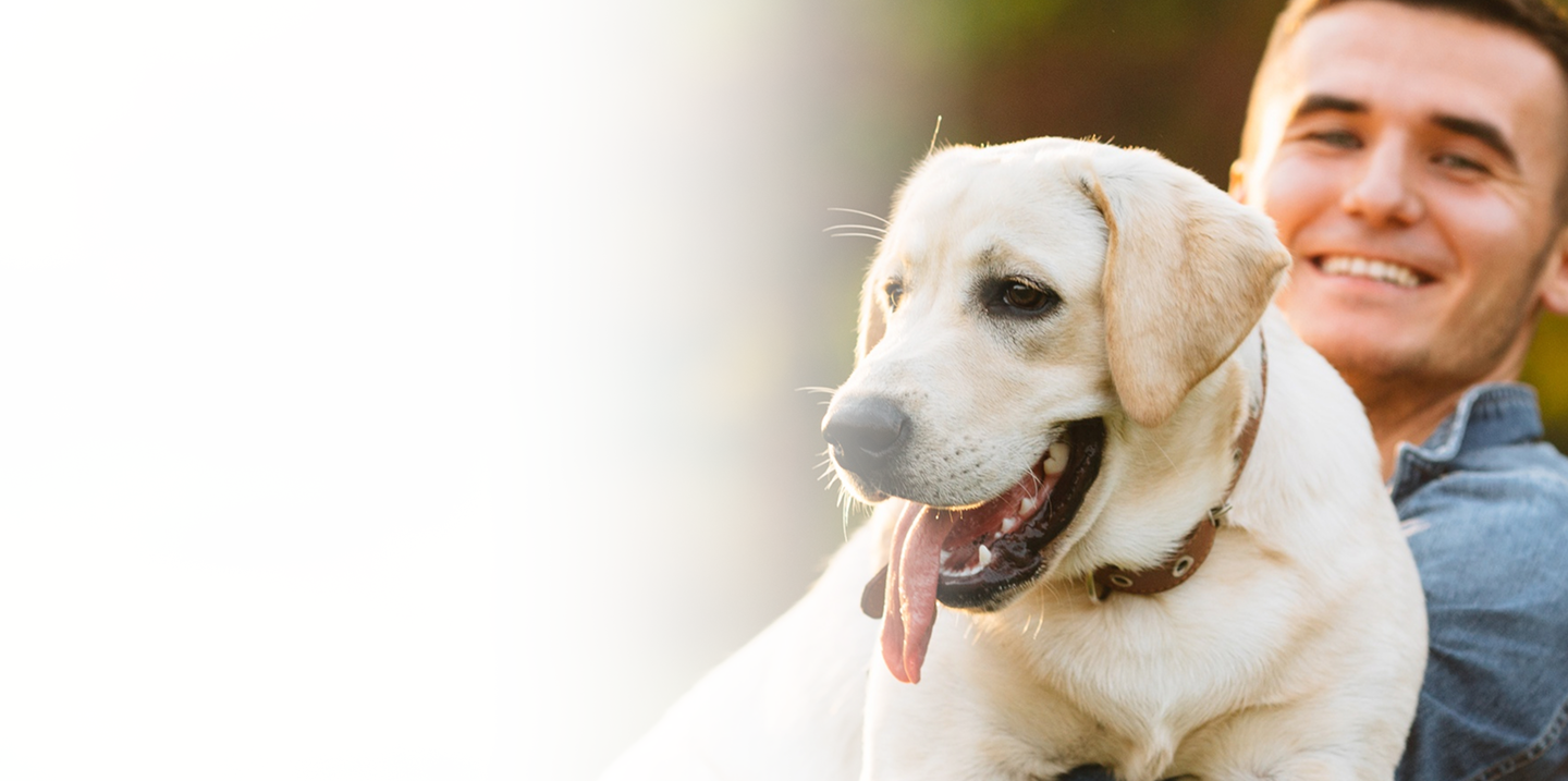 Protect Your Pet. Protect Your Peace of Mind.