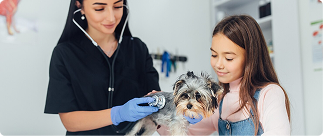 What Does Pet Insurance Cover?