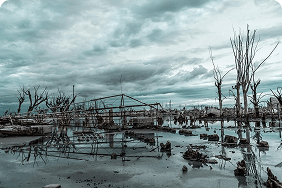 Flooded landscape with damaged structures and bare trees, reflecting the impact of severe weather, relevant to flood insurance discussions in Florida.