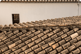 Roof tiles on a sloped surface, highlighting roof age and material condition, relevant to Florida homeowners insurance and underwriting trends.