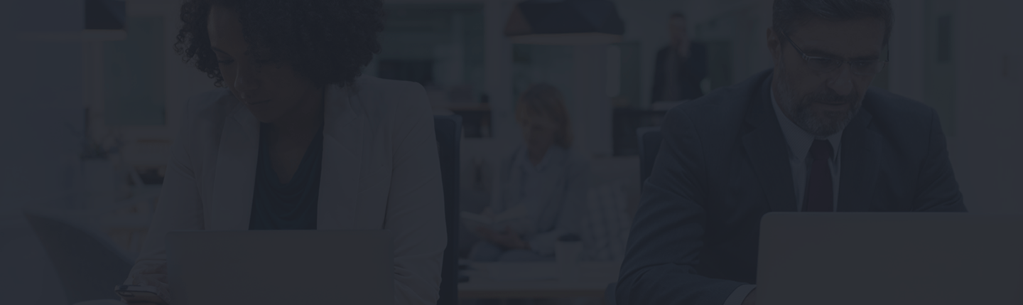 Business professionals working in an office setting, focusing on laptops, illustrating the importance of navigating Florida's insurance landscape.